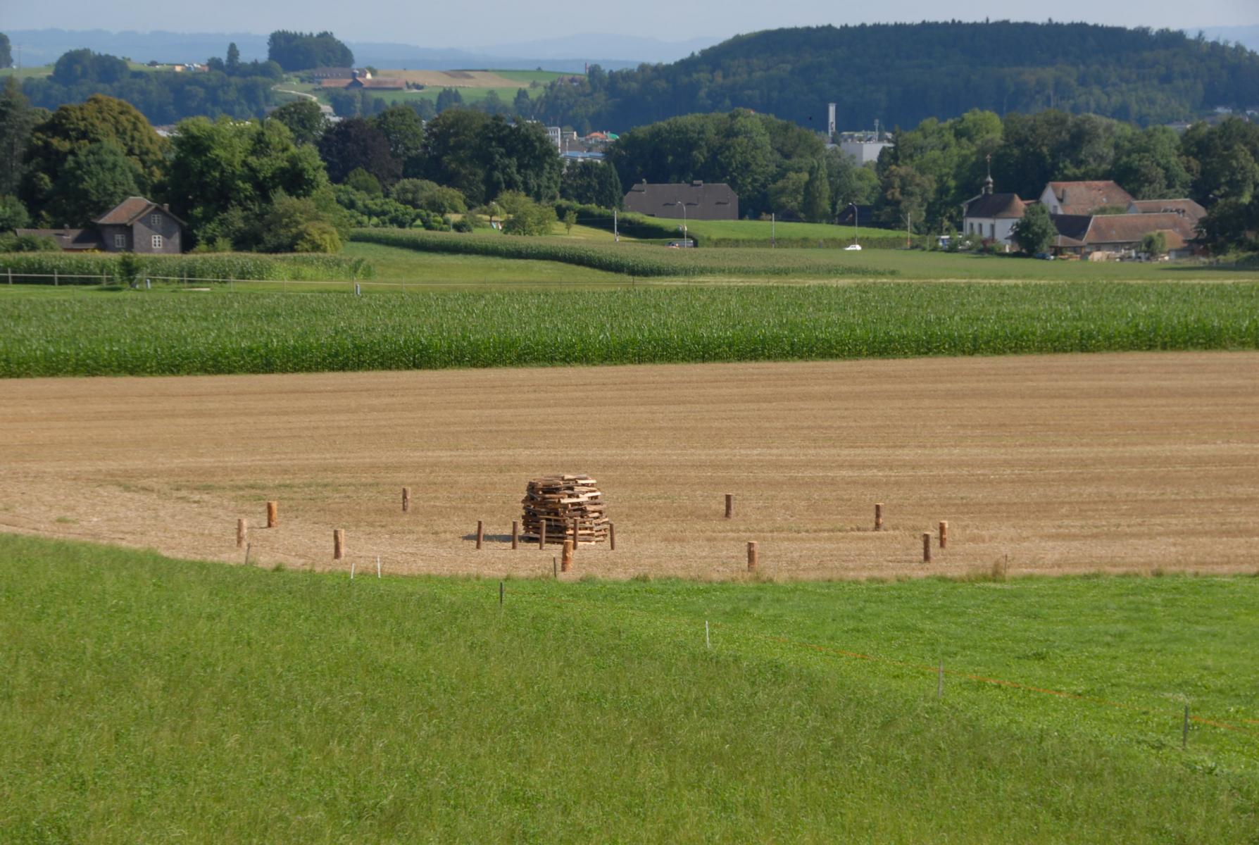 1.August-Feier-Feldbrunnen-31.7.2014