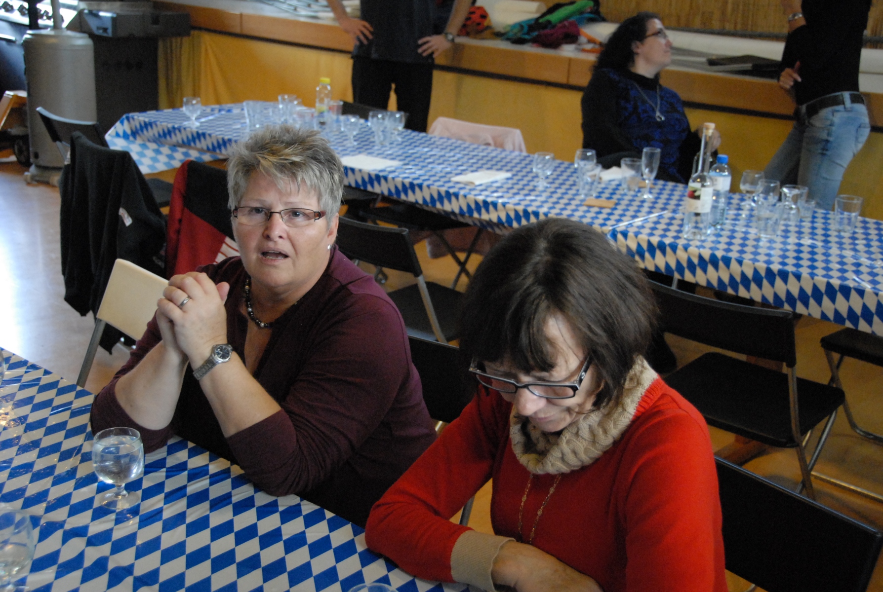 ElementsClub Raclette-Plausch im 2015