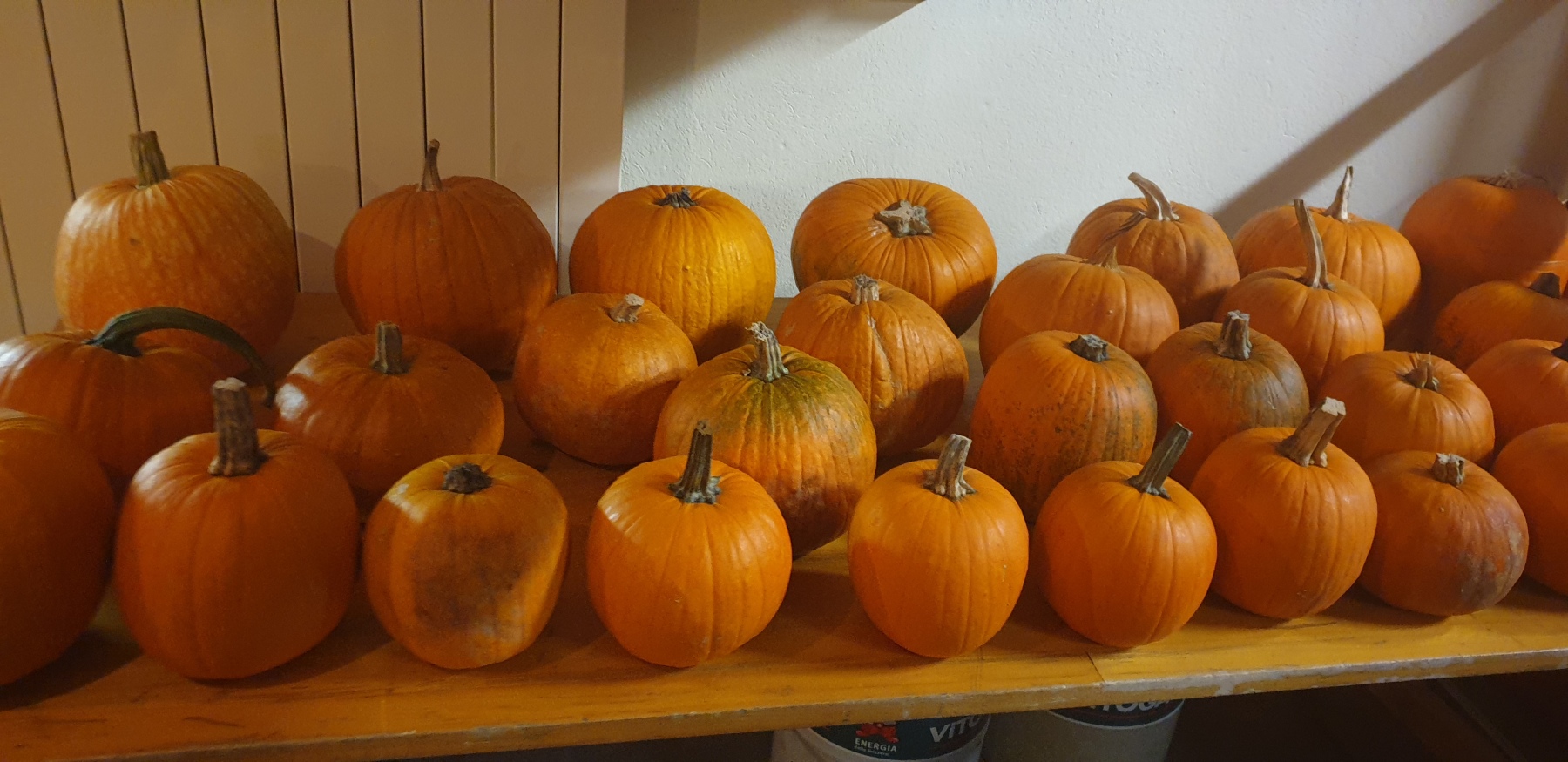 Kuerbissuppen-Essen
