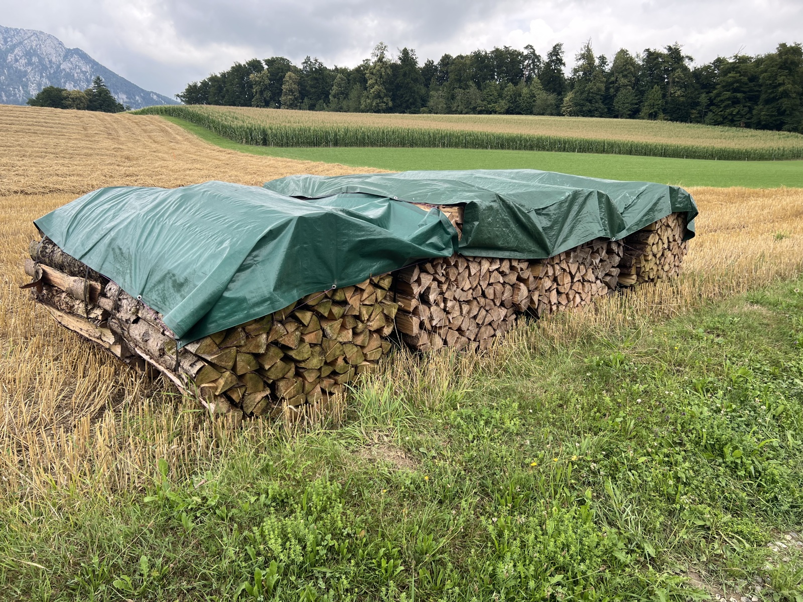 Der Plan war schon vorgängig gemacht worden.