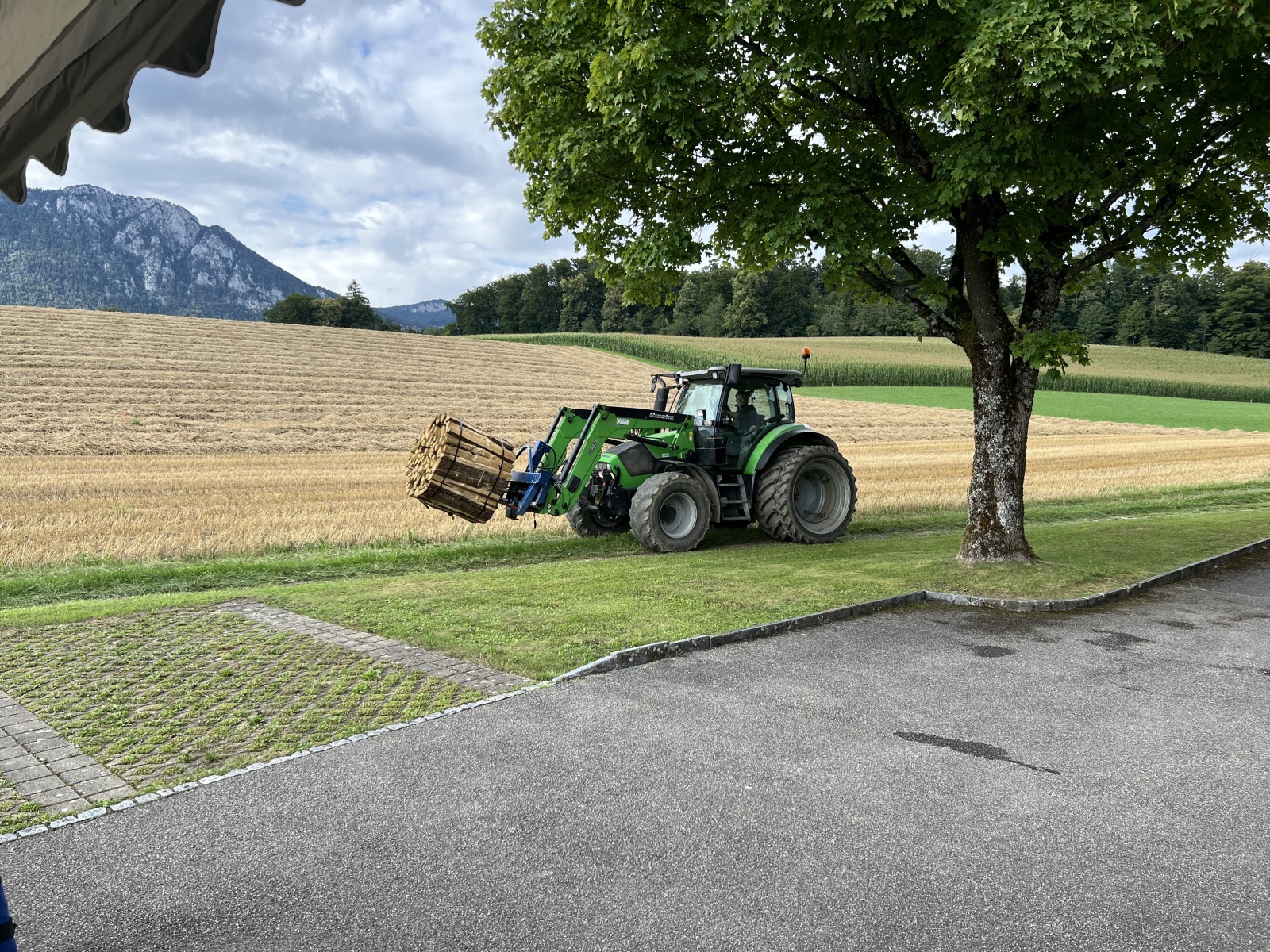 Viktor hat uns unterstützt und viel Arbeit abgenommen, danke viel mou !!!