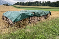 Der Plan war schon vorgängig gemacht worden.