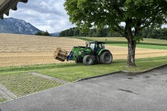 Viktor hat uns unterstützt und viel Arbeit abgenommen, danke viel mou !!!